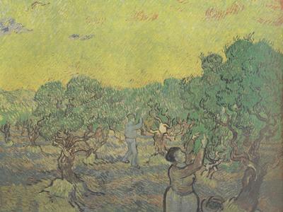 Vincent Van Gogh Olive Grove with Picking Figures (nn04) France oil painting art